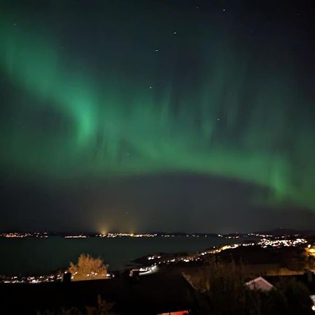 Enebolig Med Fantastisk Utsikt Villa Trondheim Eksteriør billede