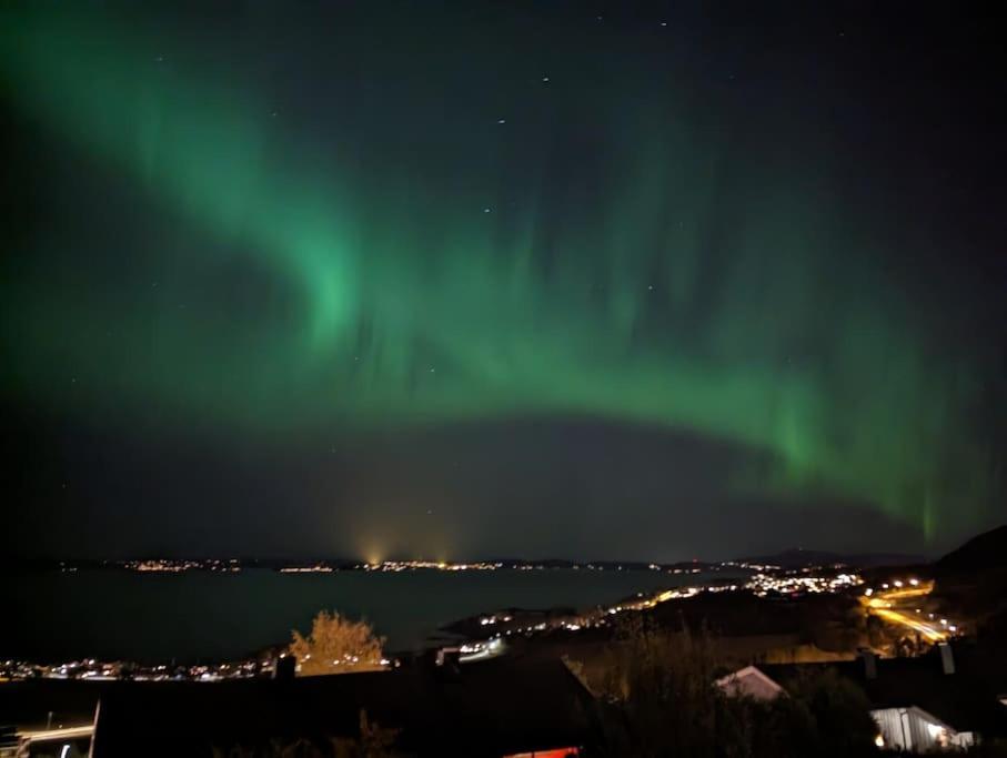 Enebolig Med Fantastisk Utsikt Villa Trondheim Eksteriør billede